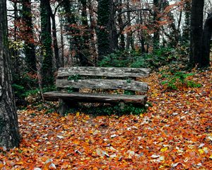 Preview wallpaper bench, autumn, park, trees