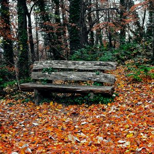 Preview wallpaper bench, autumn, park, trees