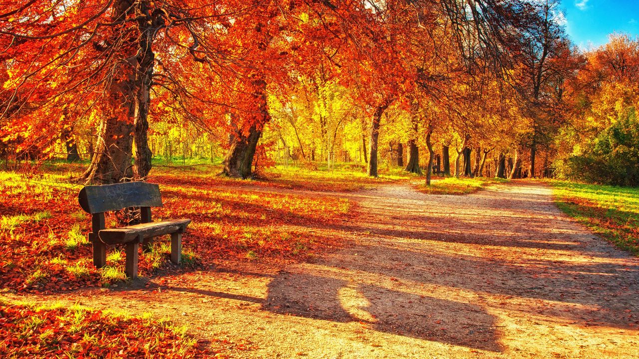 Wallpaper bench, autumn, park, foliage