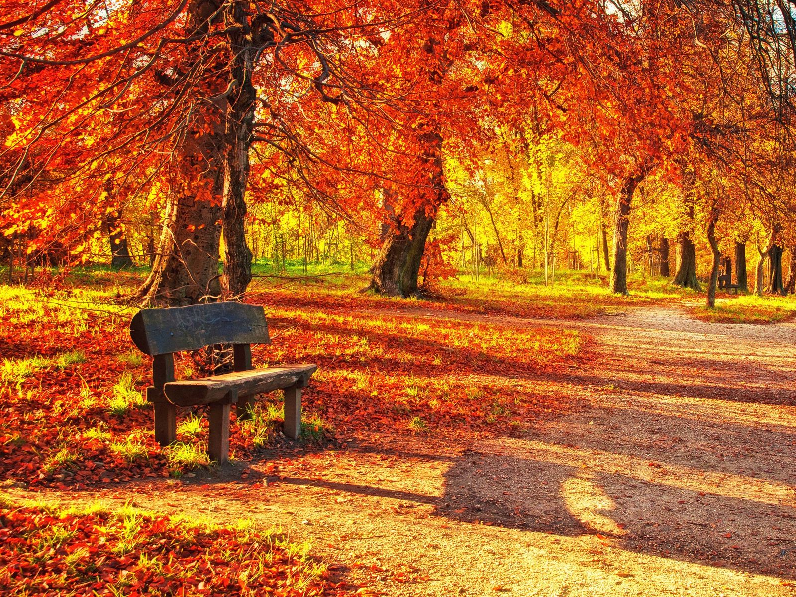 Куз н. Осень. Осенние парки. Осень парк. Осенний парк скамейка.