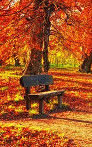 Preview wallpaper bench, autumn, park, foliage