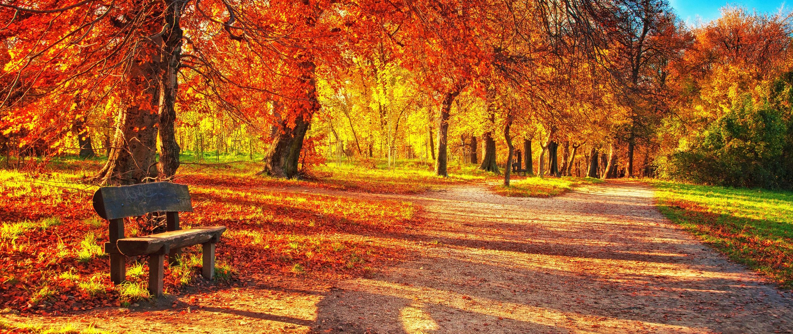 Download wallpaper 2560x1080 bench, autumn, park, foliage dual wide 1080p hd  background