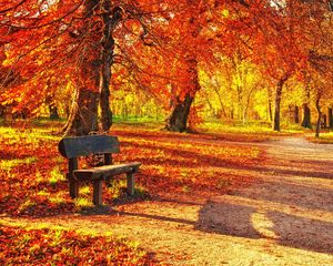 Preview wallpaper bench, autumn, park, foliage