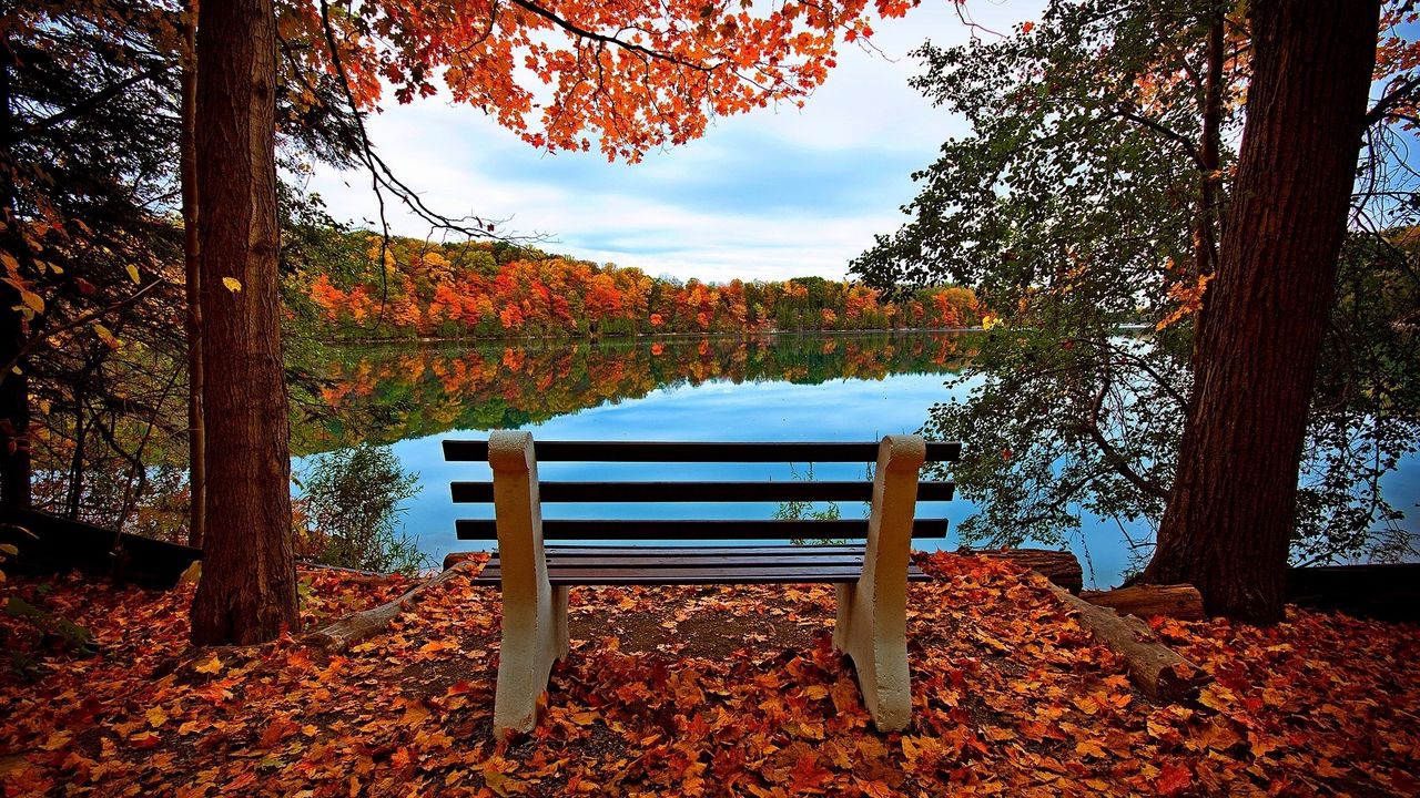 Wallpaper bench, autumn, river, lake, trees