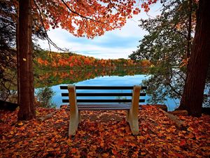 Preview wallpaper bench, autumn, river, lake, trees