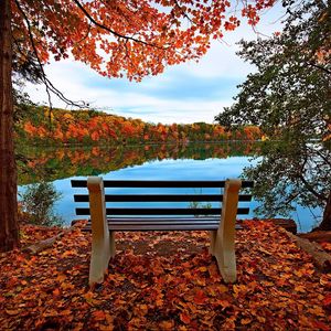 Preview wallpaper bench, autumn, river, lake, trees