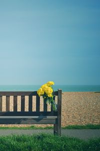 Preview wallpaper bench, bouquet, flowers, yellow, beach