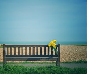 Preview wallpaper bench, bouquet, flowers, yellow, beach