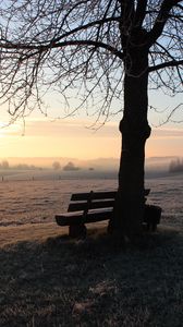 Preview wallpaper bench, dawn, frost, winter, solitude, silence