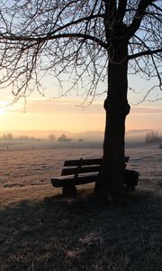 Preview wallpaper bench, dawn, frost, winter, solitude, silence