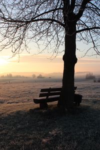 Preview wallpaper bench, dawn, frost, winter, solitude, silence