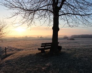 Preview wallpaper bench, dawn, frost, winter, solitude, silence