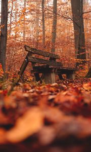 Preview wallpaper bench, forest, autumn, nature