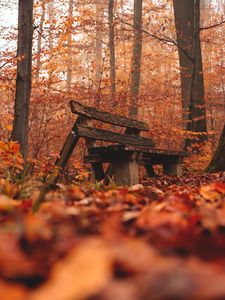 Preview wallpaper bench, forest, autumn, nature