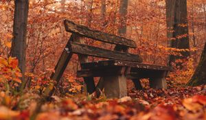 Preview wallpaper bench, forest, autumn, nature