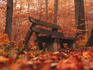 Preview wallpaper bench, forest, autumn, nature