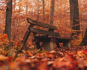 Preview wallpaper bench, forest, autumn, nature