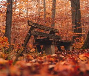 Preview wallpaper bench, forest, autumn, nature