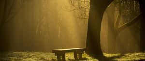 Preview wallpaper bench, forest, fog