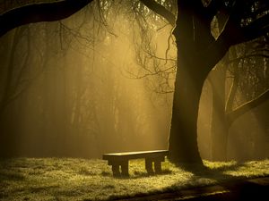 Preview wallpaper bench, forest, fog
