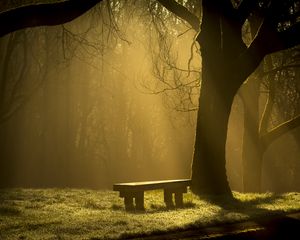 Preview wallpaper bench, forest, fog