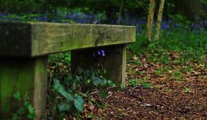 Preview wallpaper bench, grass, flowers