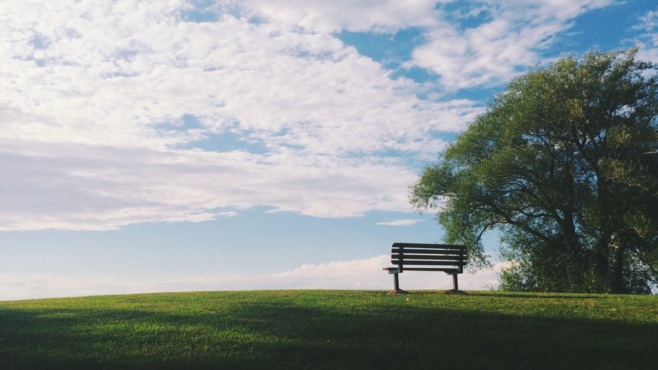 Wallpaper bench, grass, tree, sky, view
