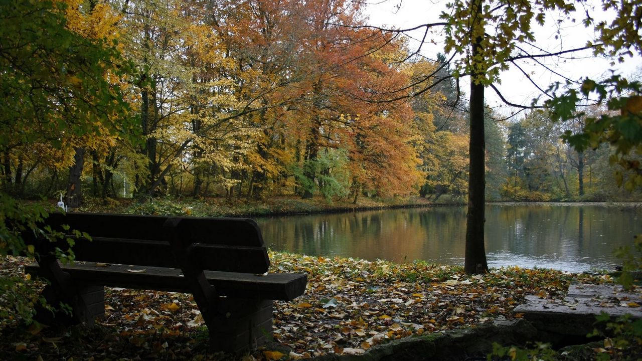 Wallpaper bench, lake, autumn, wood, trees, stream, leaf fall
