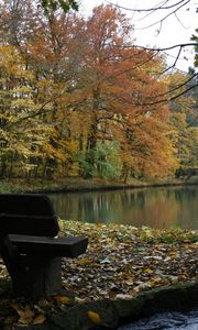 Preview wallpaper bench, lake, autumn, wood, trees, stream, leaf fall