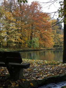 Preview wallpaper bench, lake, autumn, wood, trees, stream, leaf fall