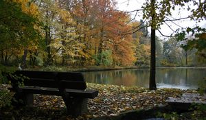 Preview wallpaper bench, lake, autumn, wood, trees, stream, leaf fall