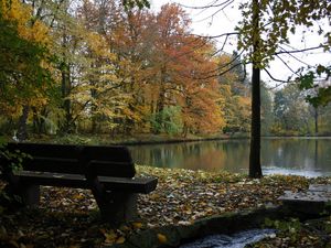 Preview wallpaper bench, lake, autumn, wood, trees, stream, leaf fall