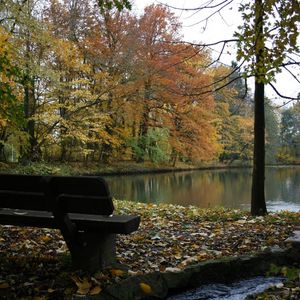 Preview wallpaper bench, lake, autumn, wood, trees, stream, leaf fall