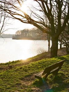 Preview wallpaper bench, lake, park, coast, trees