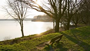 Preview wallpaper bench, lake, park, coast, trees