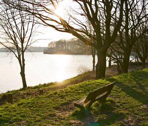 Preview wallpaper bench, lake, park, coast, trees