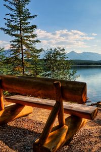 Preview wallpaper bench, logs, lake, coast, trees