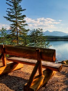 Preview wallpaper bench, logs, lake, coast, trees