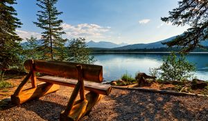 Preview wallpaper bench, logs, lake, coast, trees