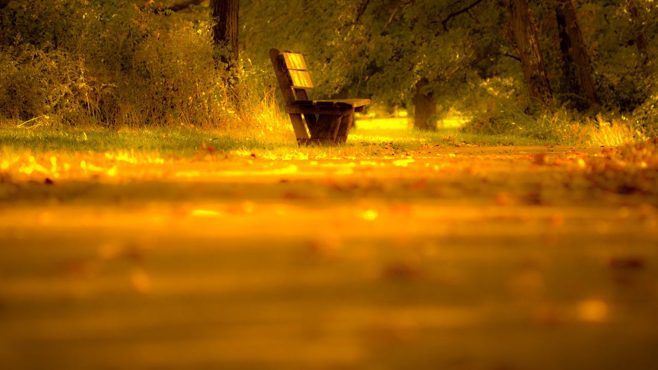 Wallpaper bench, lonely, yellow, degradation