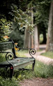 Preview wallpaper bench, maple, branch, grass