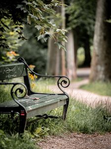 Preview wallpaper bench, maple, branch, grass