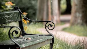 Preview wallpaper bench, maple, branch, grass