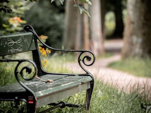 Preview wallpaper bench, maple, branch, grass