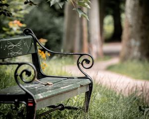Preview wallpaper bench, maple, branch, grass