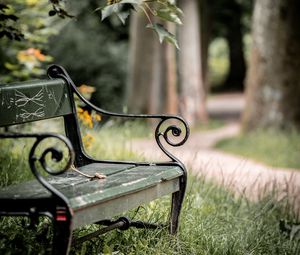 Preview wallpaper bench, maple, branch, grass