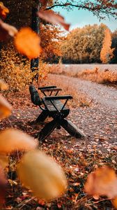 Preview wallpaper bench, nature, autumn, leaves, foliage, yellow