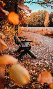 Preview wallpaper bench, nature, autumn, leaves, foliage, yellow