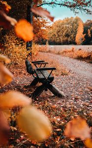 Preview wallpaper bench, nature, autumn, leaves, foliage, yellow