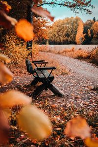 Preview wallpaper bench, nature, autumn, leaves, foliage, yellow